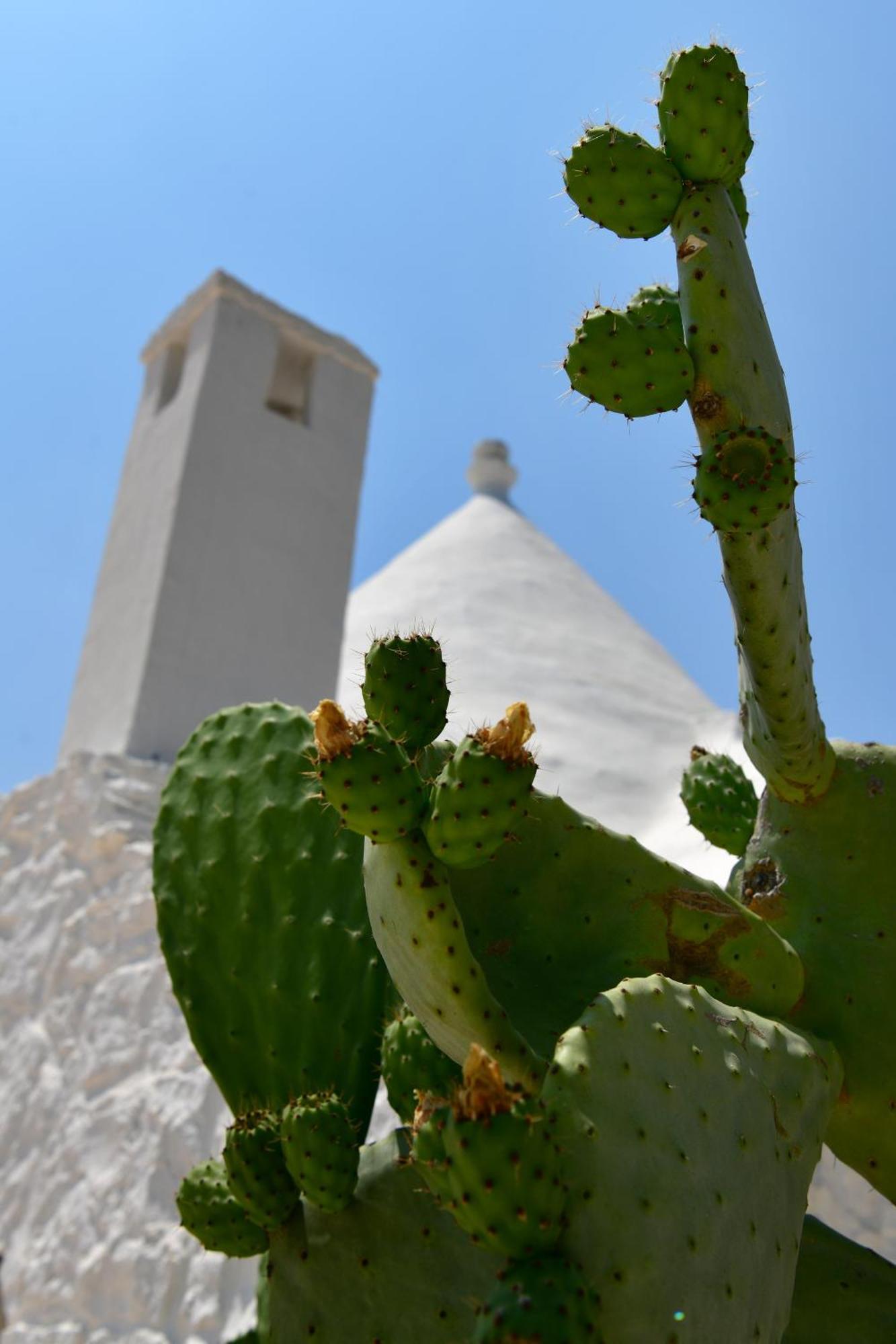 Il Trullo Bianco - Country House & Spa Castellana Grotte Dış mekan fotoğraf